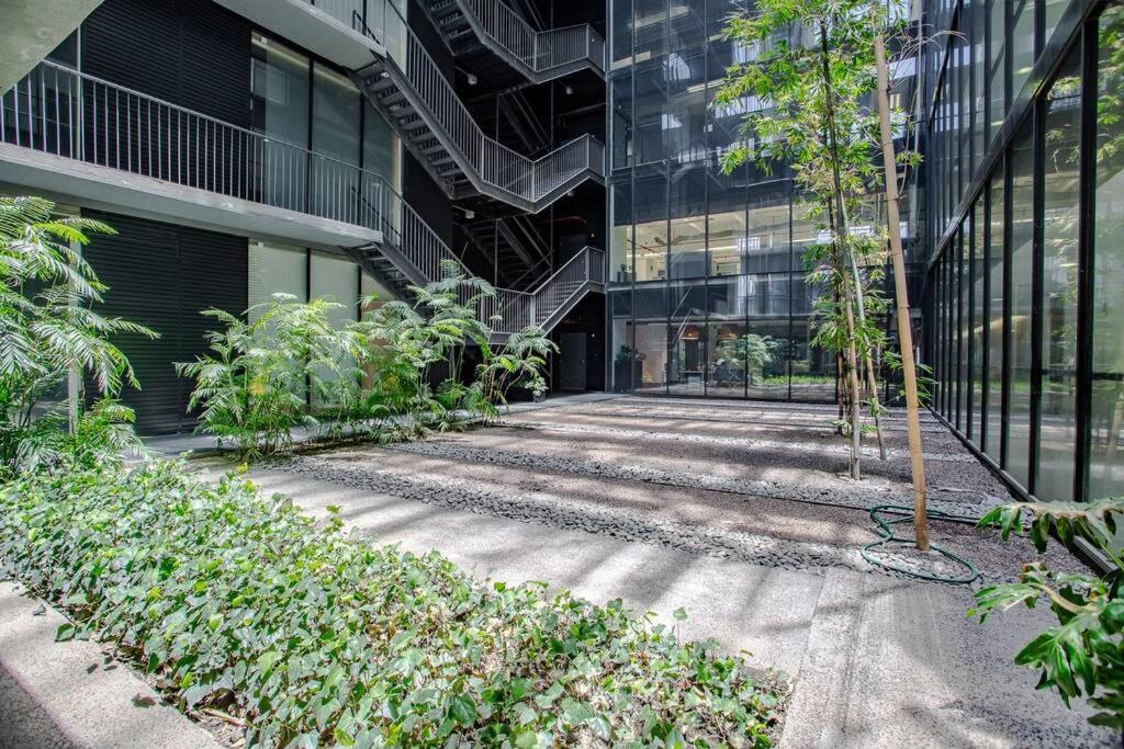 Moderno Departamento en Reforma 284 - 4