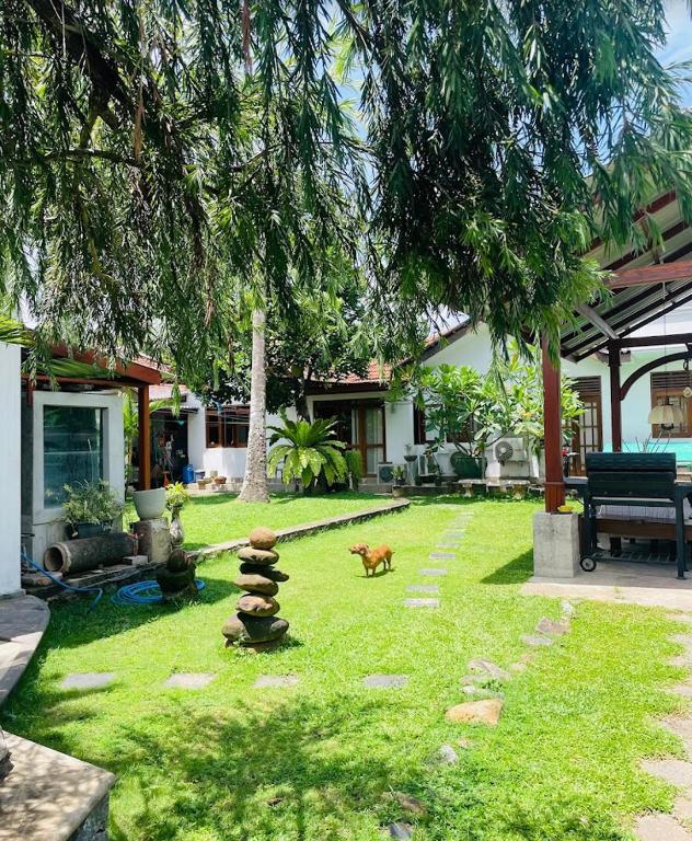 Ice Berg, Mount Lavinia