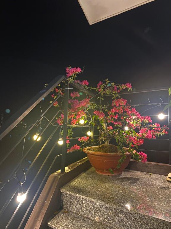 Homestay Tuyết Trinh