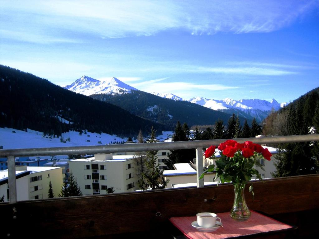Ferienwohnung Parkareal Davos - freier Blick auf Berge, ruhig, sonnig, SW-Balkon, Parkplatz - 3