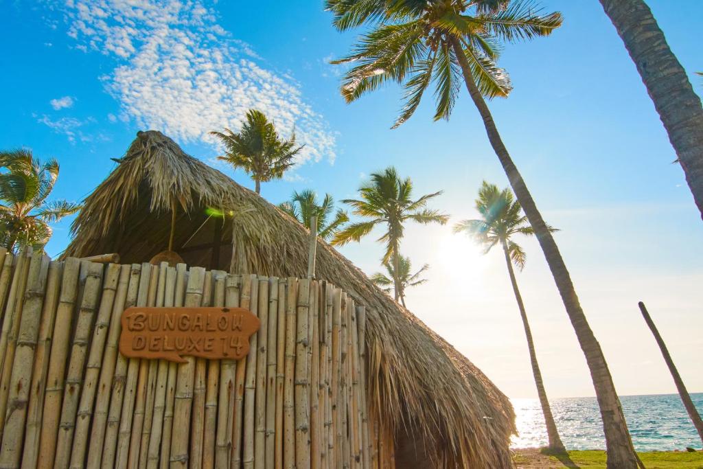 Surrounding environment