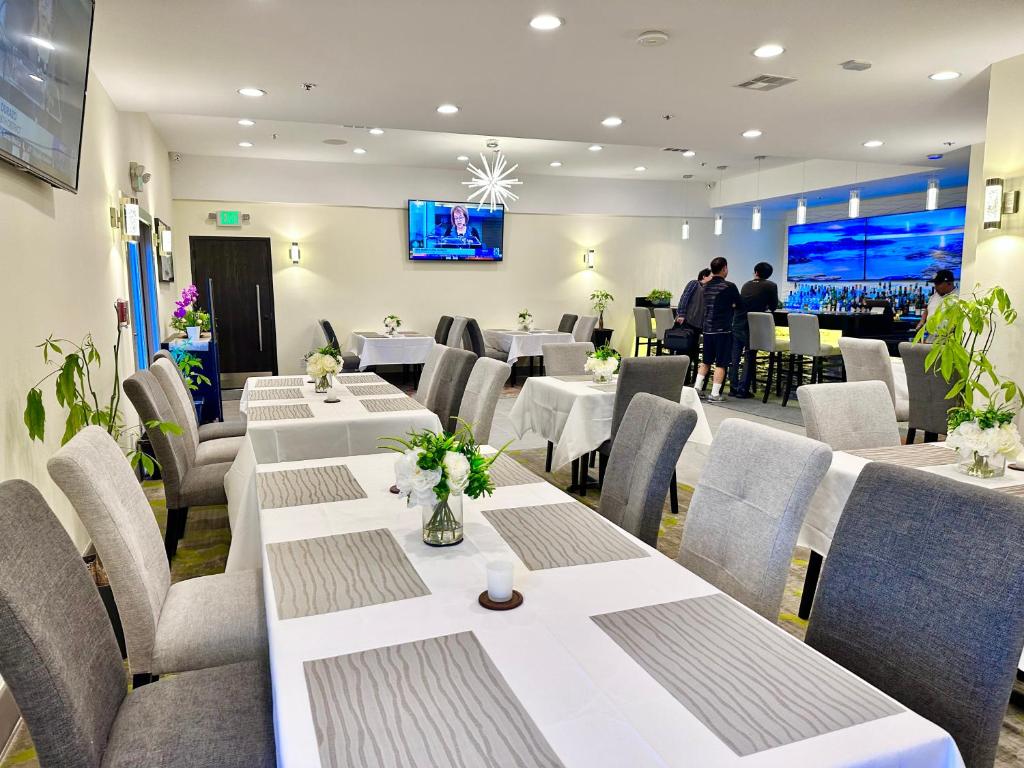 Pub/Lounge