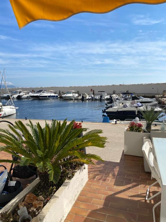 Duplex face à la mer ATHENA PORT - 3