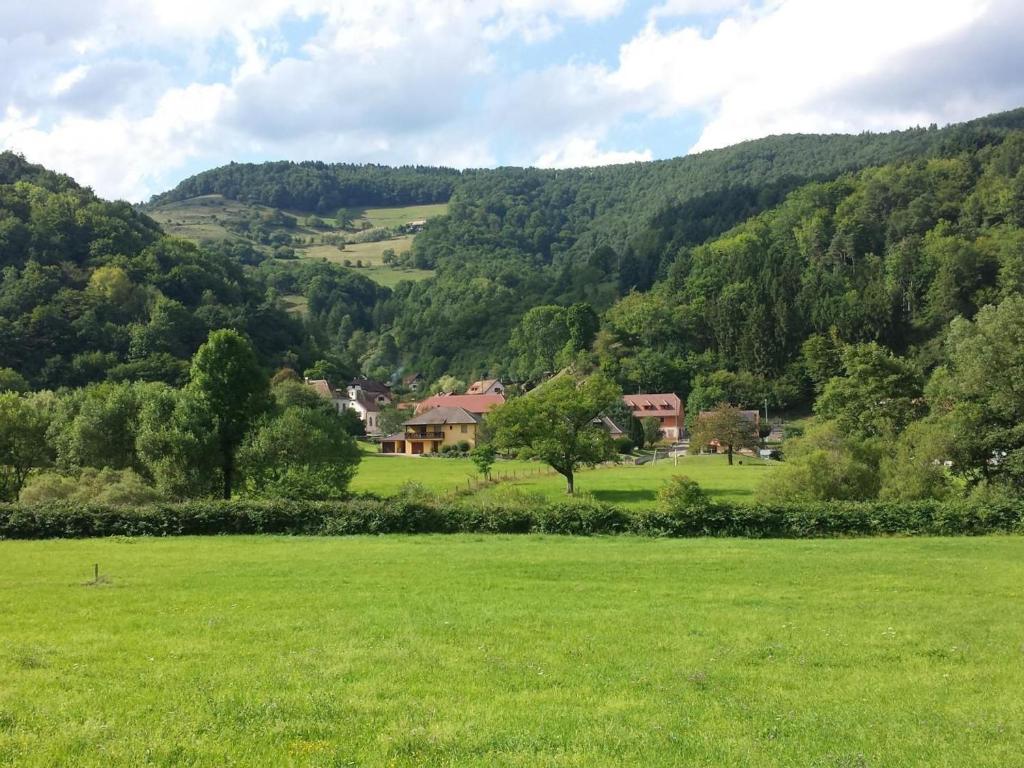Gîte Lièpvre, 4 pièces, 8 personnes - FR-1-744-20