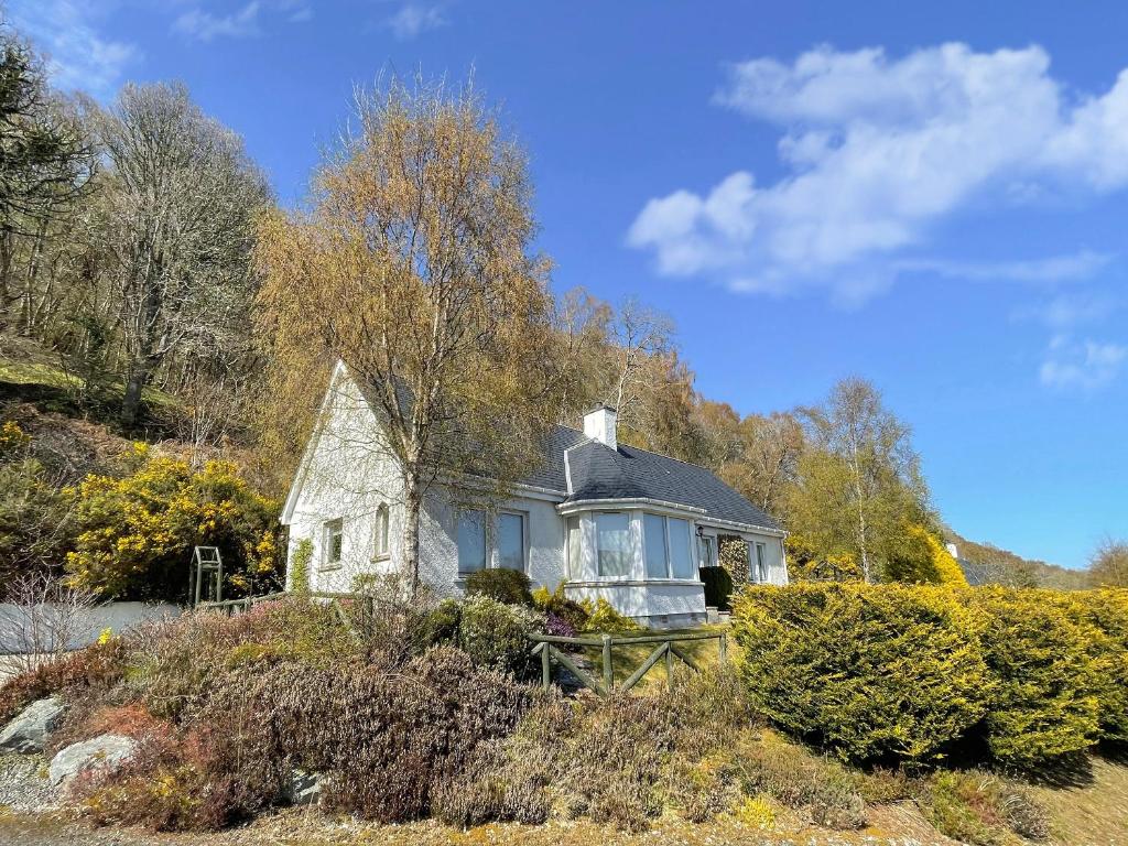 Braeside- Uk33898