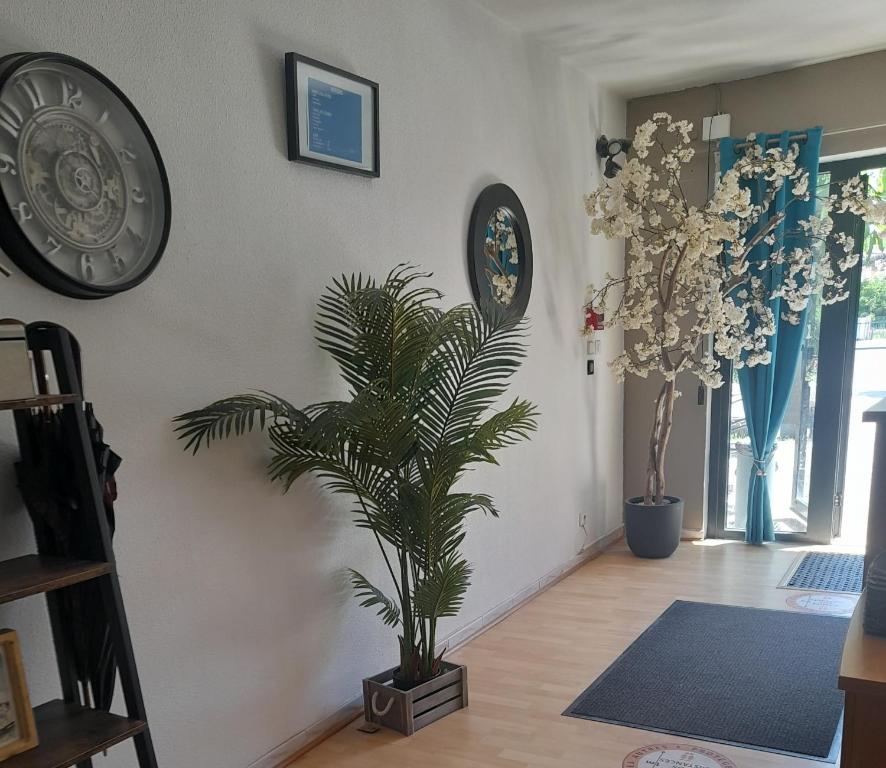 Hotel Les Alizés フロント・ロビー