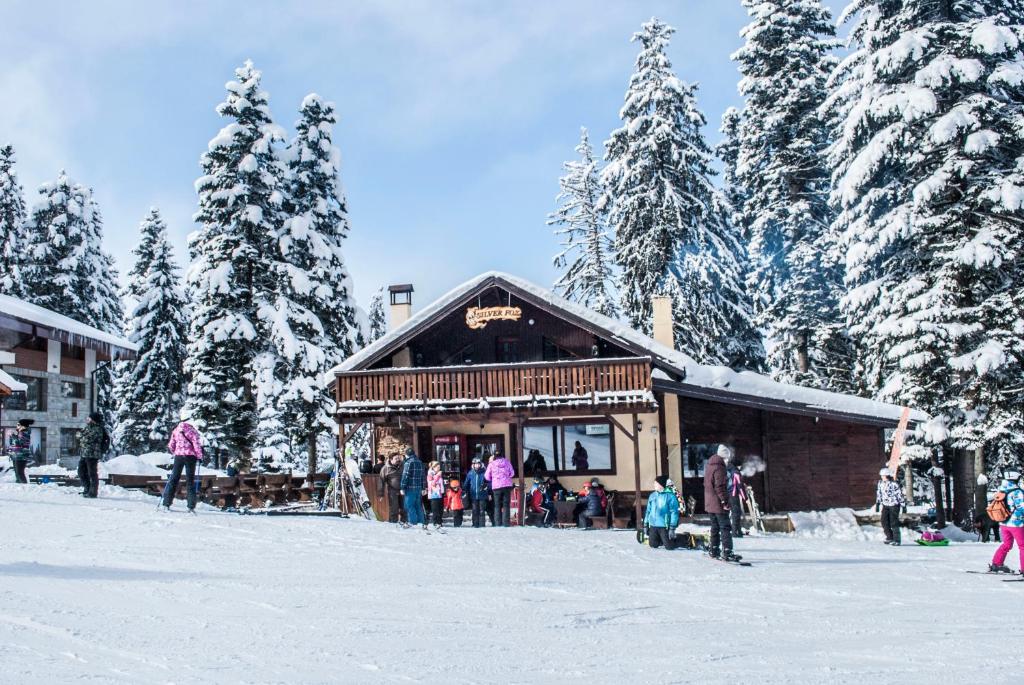 Alpine ski chalet Borovets with sauna 전경