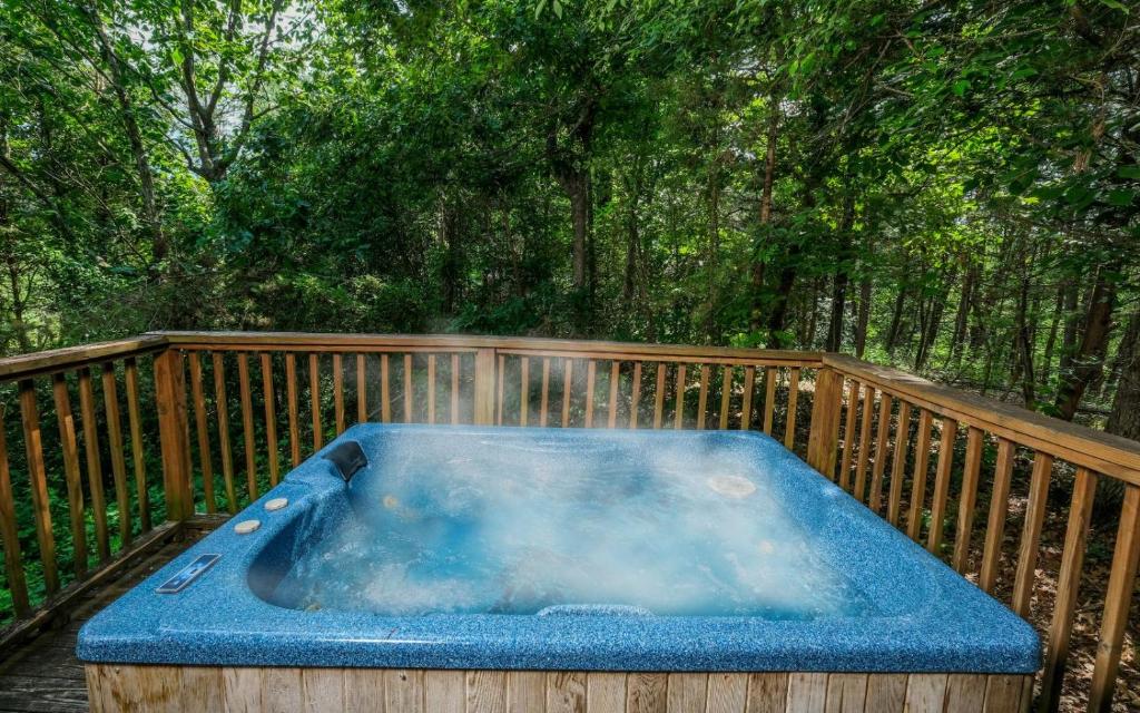 Lorin Aleah, Sevierville