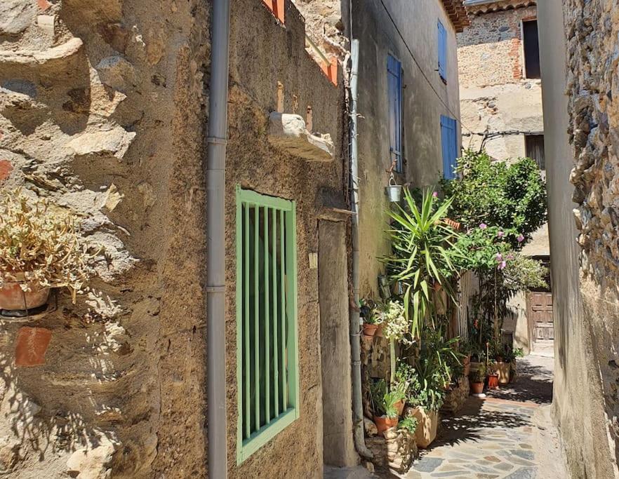 Gîte rural Le petit cayrou