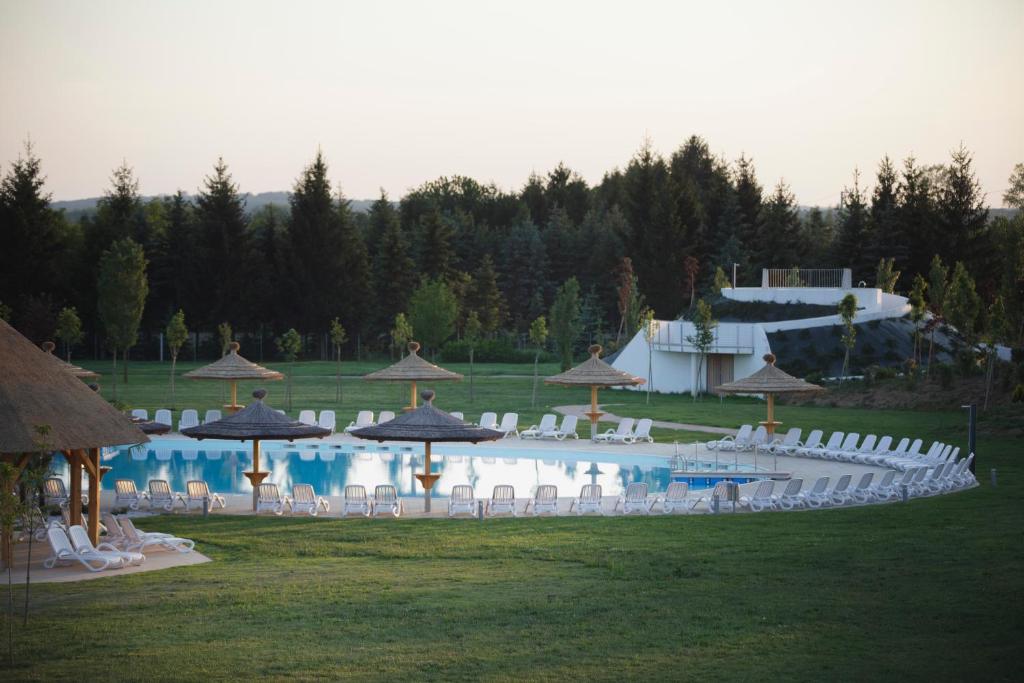 スイミングプール