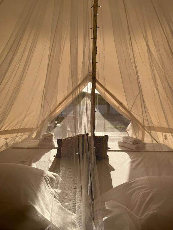 CÁDIZ -TIPI en Chiclana de la frontera, España - 5