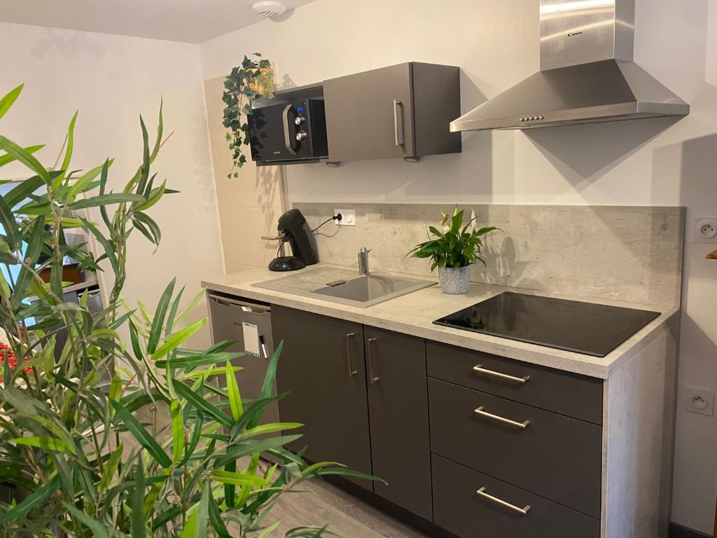 Charmant appartement proche du centre ville - 3