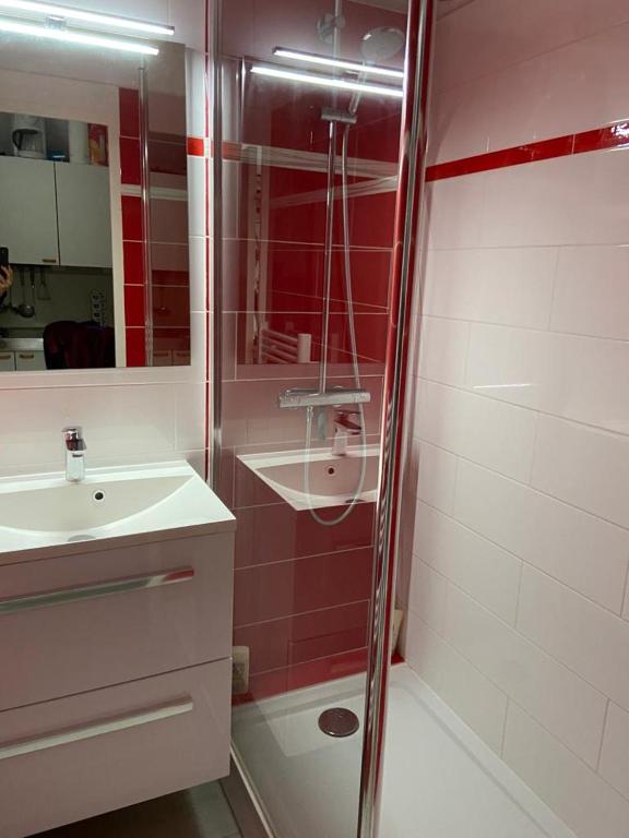 T2, 5/6 pl, superbe vue, exp sud, douche italienne - 5