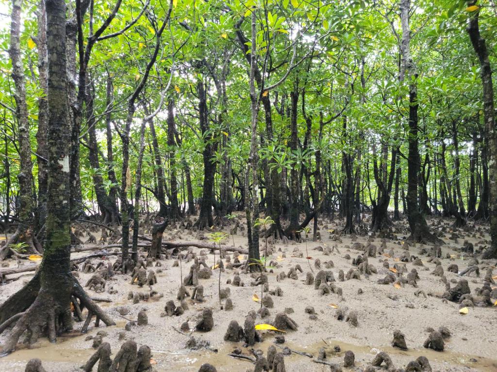 Nearby attraction
