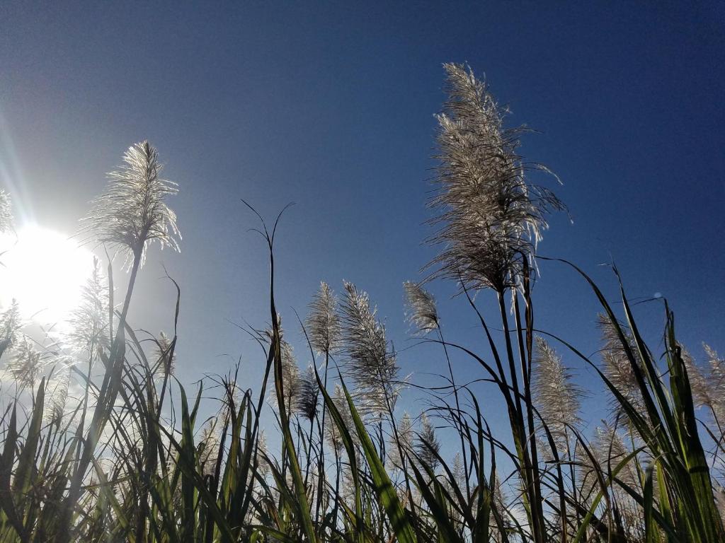 Surrounding environment