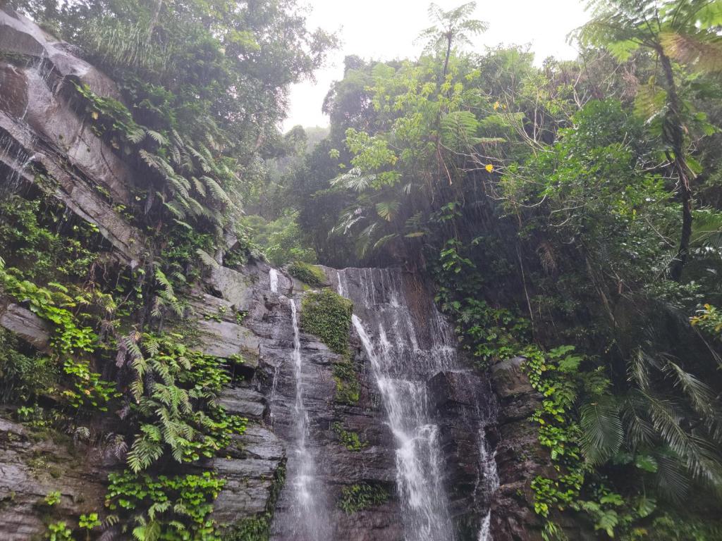 Attrazioni nelle vicinanze