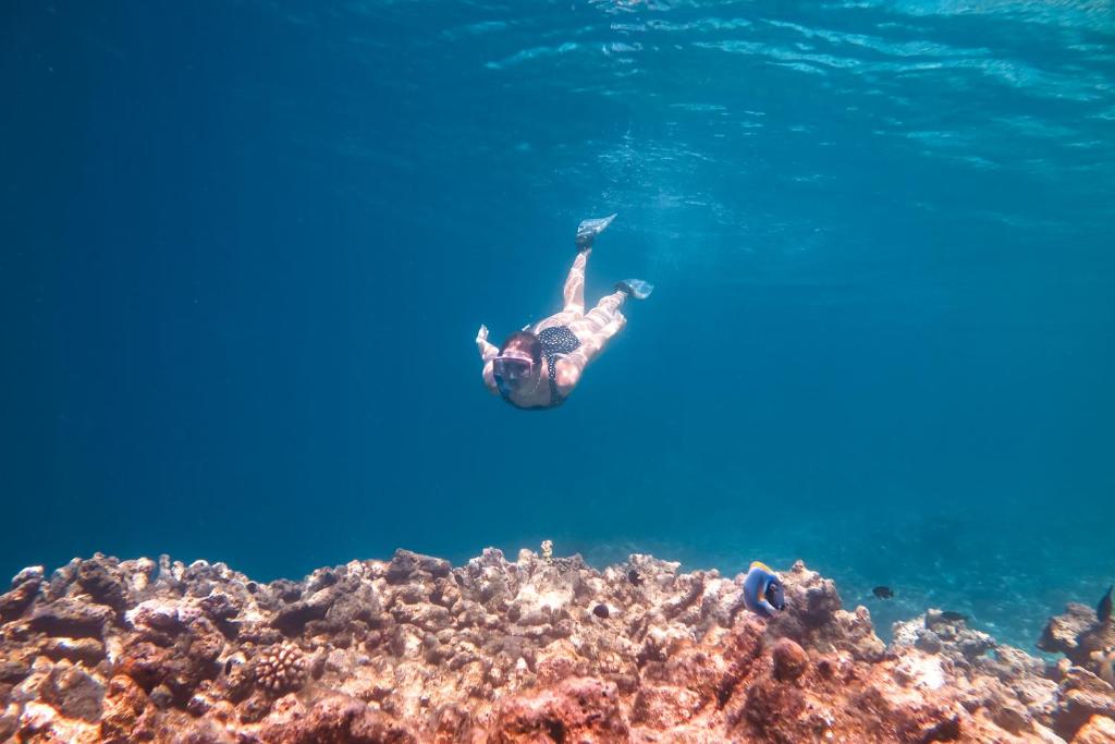 Sports and activities