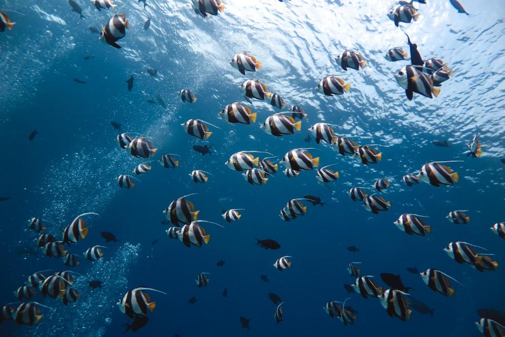 Sports and activities