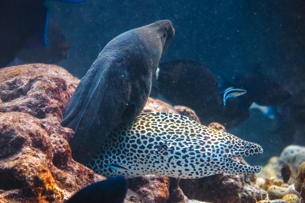 Sports and activities