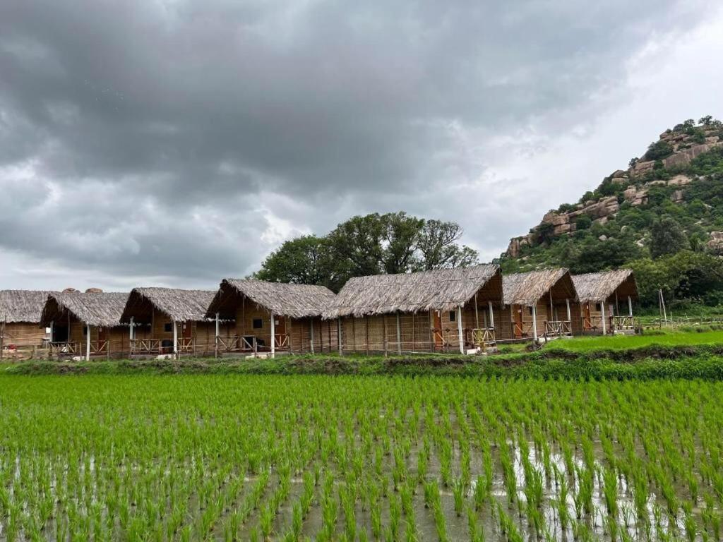 Serene Boulder, Hampi