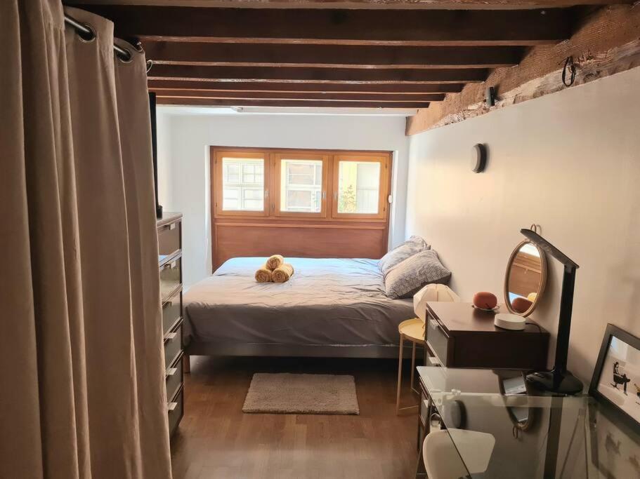 Duplex atypique loft Lyon 6 - 4