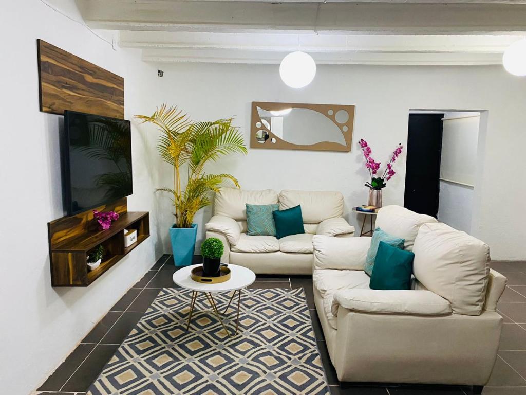 Departamento centrico - Bufa House - 2