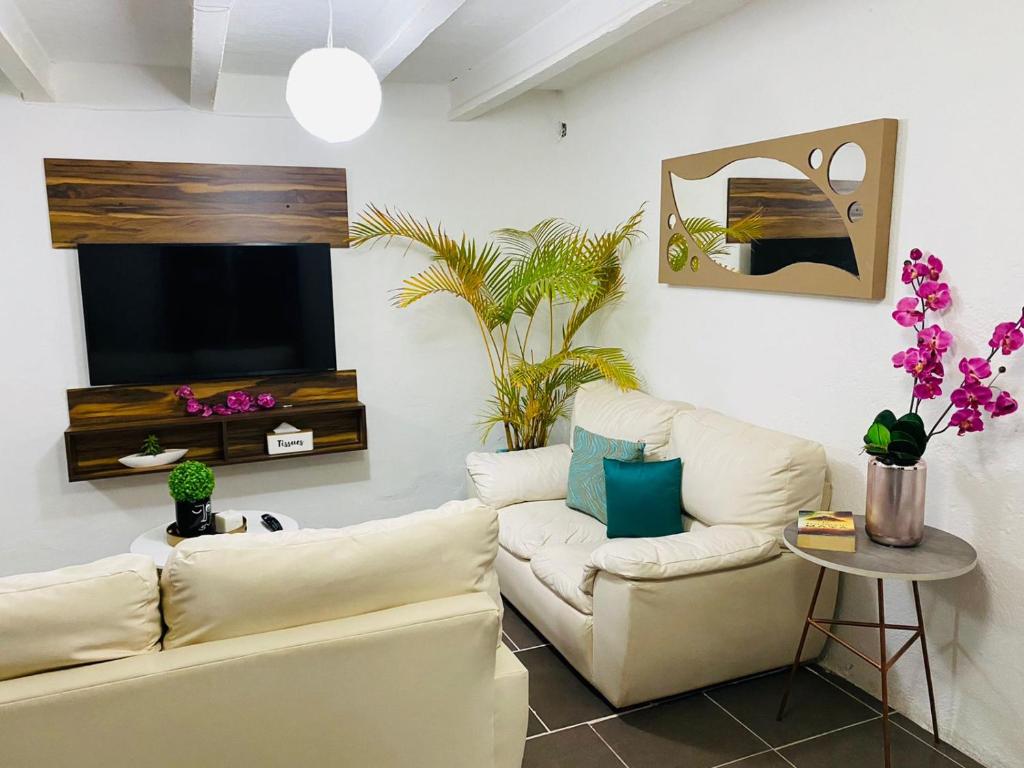 Departamento centrico - Bufa House - 4