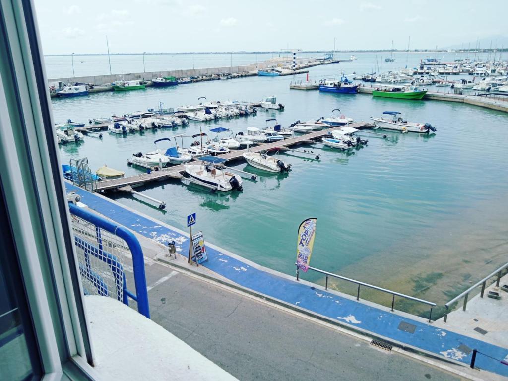 Vora Port - 3