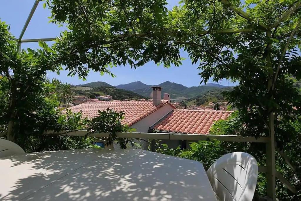 Grand appartement dans maison-proche centre Collioure-terrasse-jardin - 1