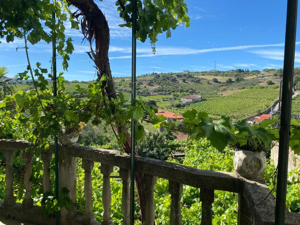 Casa do Adro - Solar Corte Real - Turismo de Habitação, Vilarouco