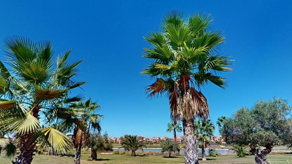 Casa Bonsai I - A Murcia Holiday Rentals Property - 5