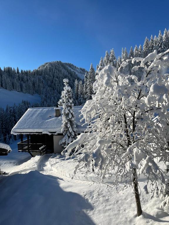 Chalet LYS Apartment 14 Rue Sigma - 3