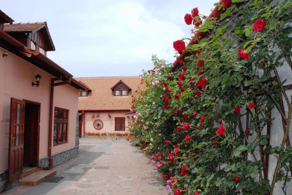 Pension Hermannstadt in Sibiu, Romania