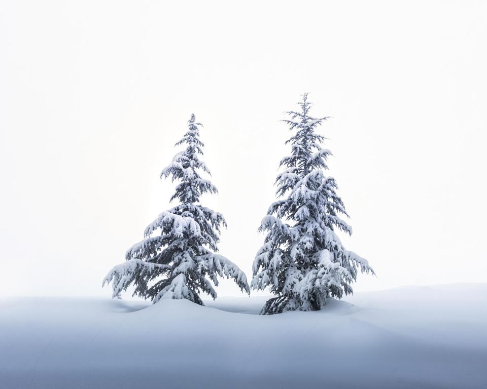 Surrounding environment