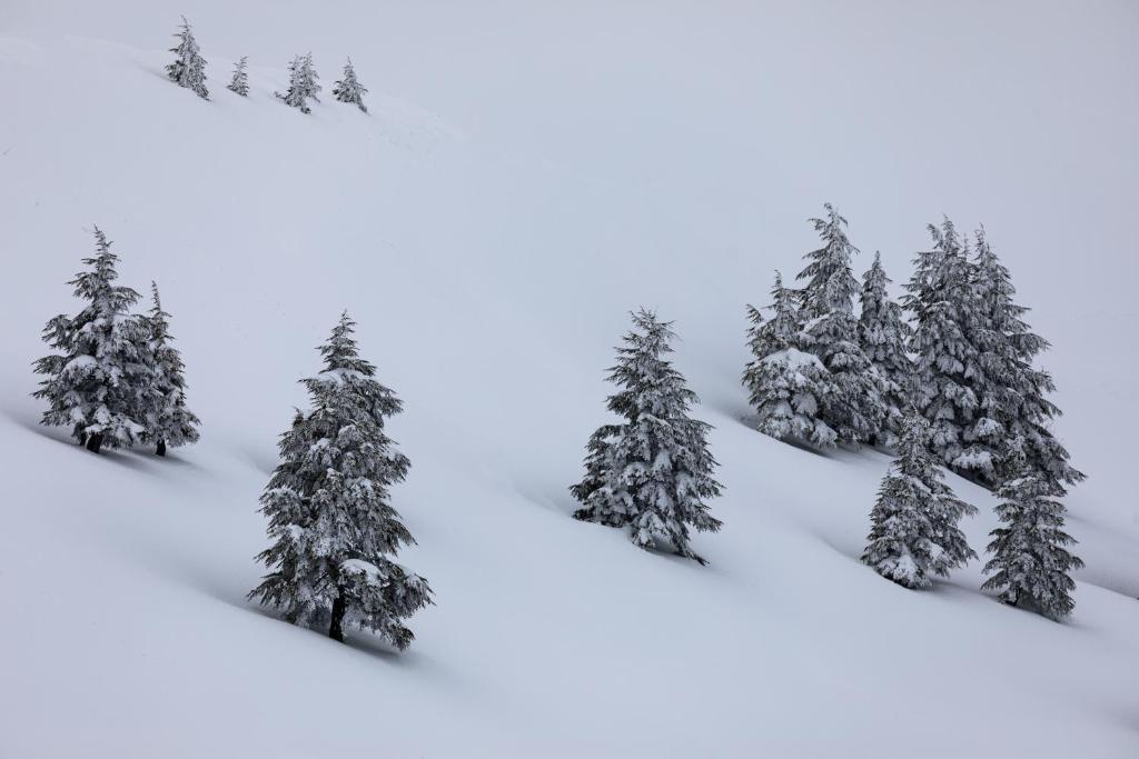 Surrounding environment