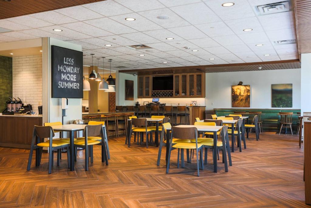 お料理のイメージ