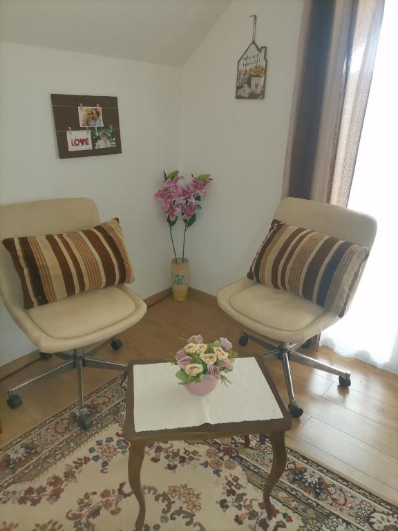 Apartman Vera, Srbobran
