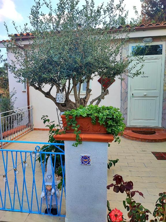 La casetta degli ulivi - 5