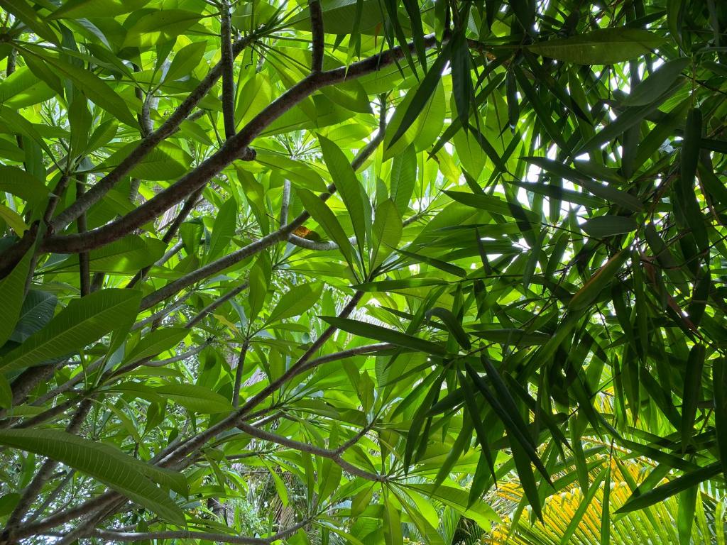 Surrounding environment