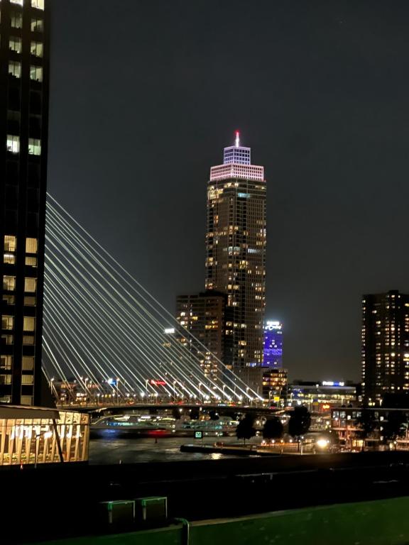 Bridge view