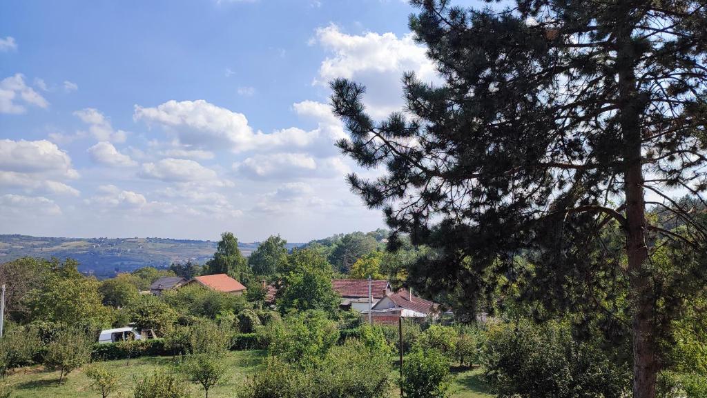 Apartman Bogdanovic, Vrdnik