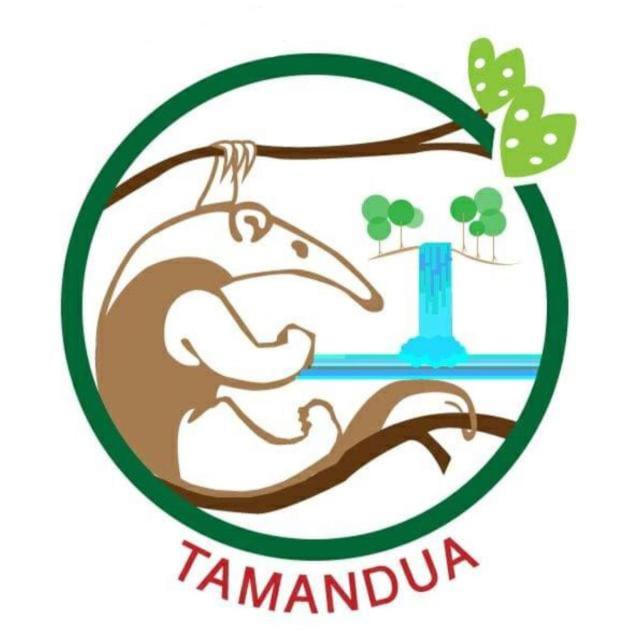 Complejo Ecoturistico Tamandua 전경