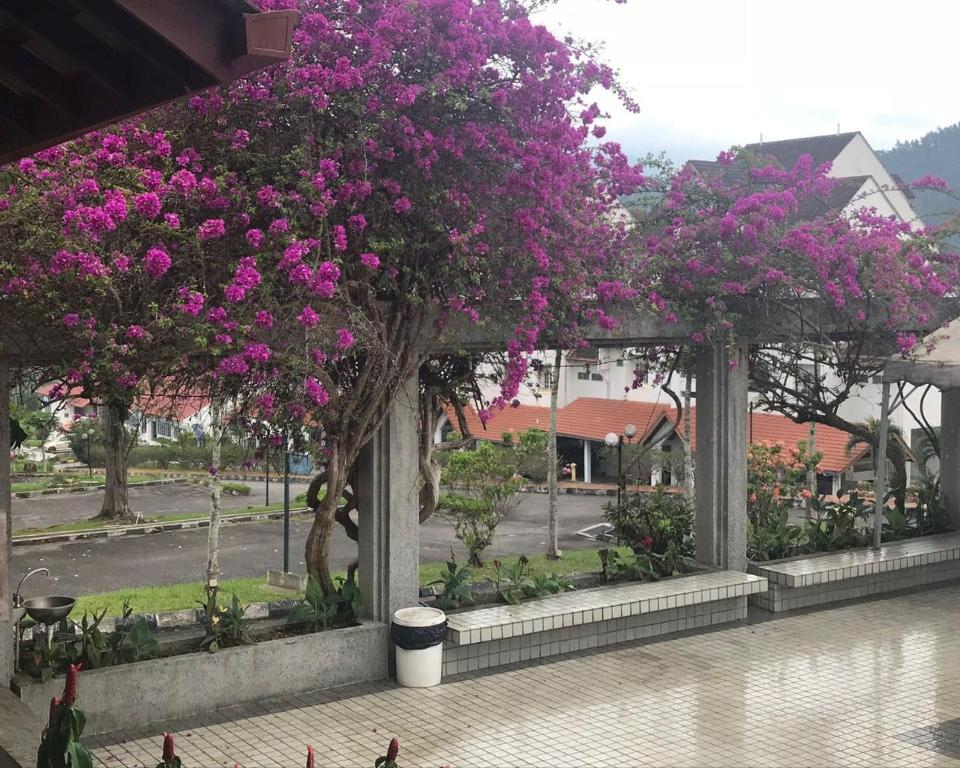 5. 캄풍 부킷 팅기..