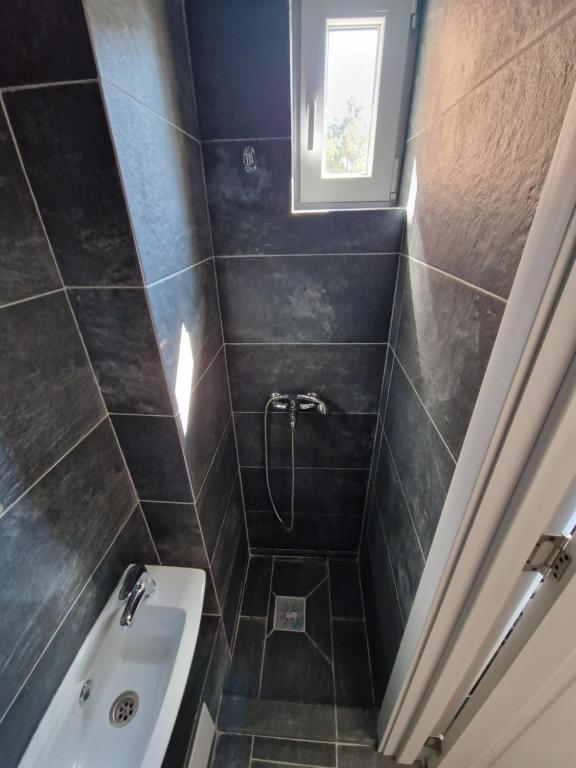Ảnh 2