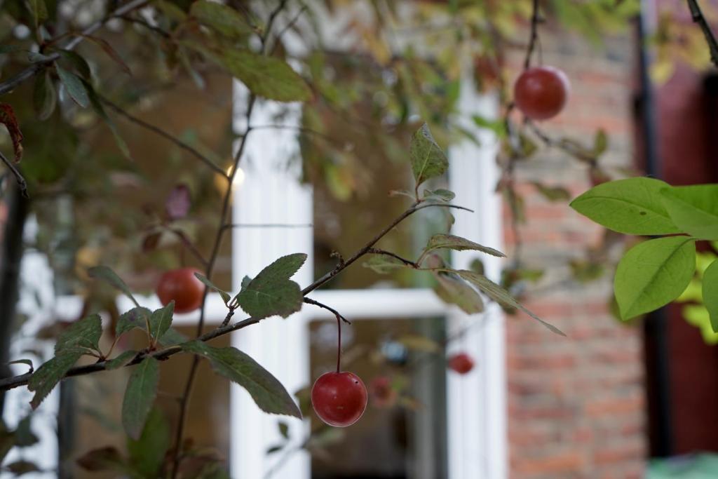 Beautiful London home sleeps 6, 2 minutes to metro, Лондон