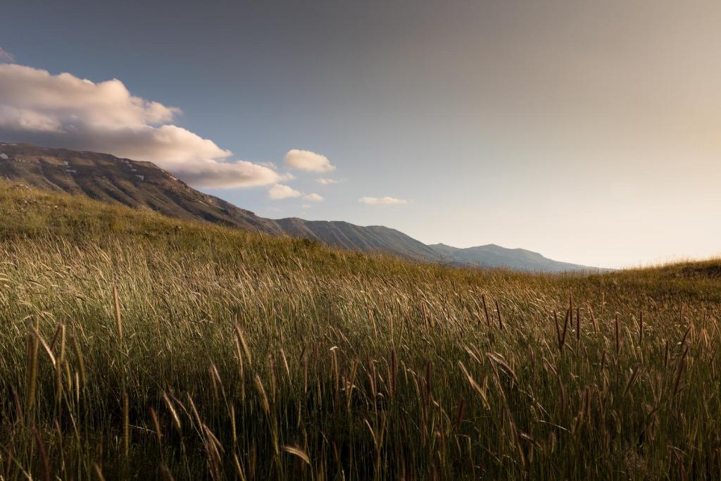 Surrounding environment