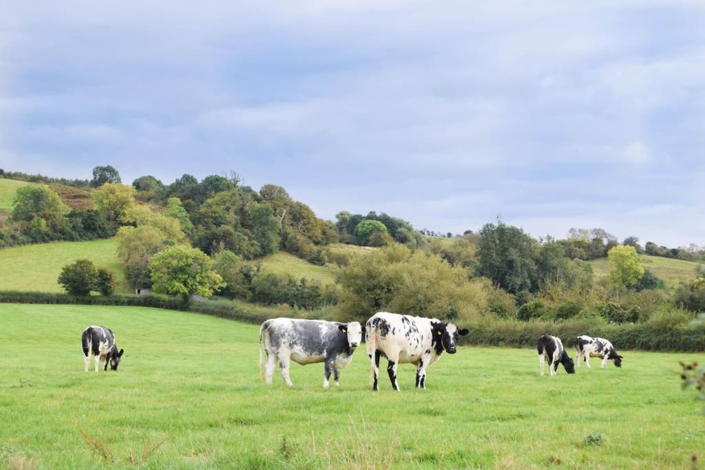 Nr Bicester Village 5 Star Luxury on farm photo 8