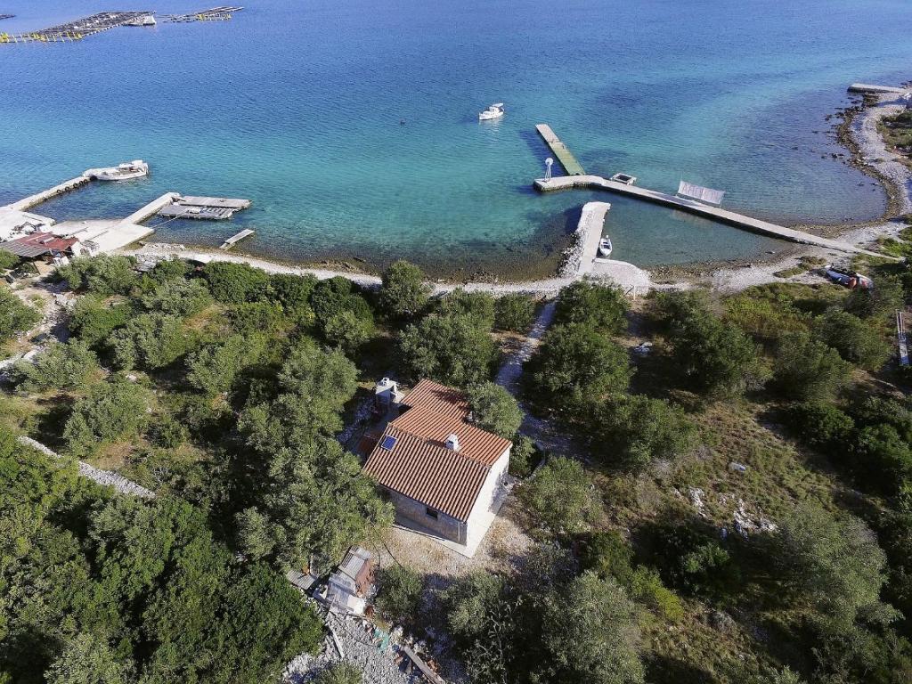 House Viola, Otok Zizanj