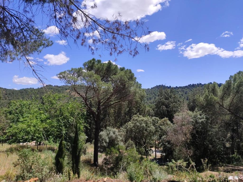 Bonita casa blanca en el bosque. - 5
