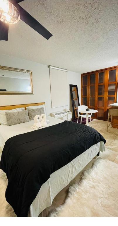 Cozy Studio at Miramar & convention center, San Juan